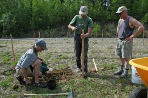 threetreeplanters