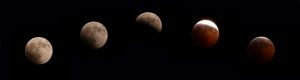 2010 Solstice Lunar Eclipse Sequence by Doug Gualtieri 2010 Solstice Lunar Eclipse Sequence by Doug Gualtieri