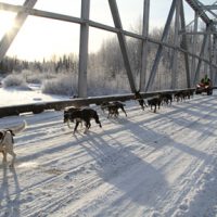 Montana Creek Bridge
