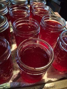 Katie Writer's high bush cranberry jelly.  Photo: Katie Writer - KTNA