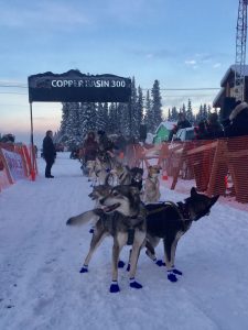 Anja Radano at the Copper Basin 300.  Photo courtesy of Anja Radano