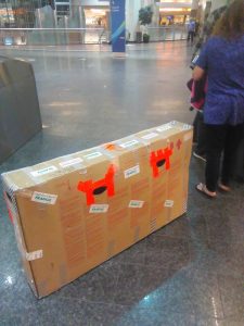 Carter Forney's bike leaving Ted Stevens International Airport. Photo courtesy of Carter Forney.