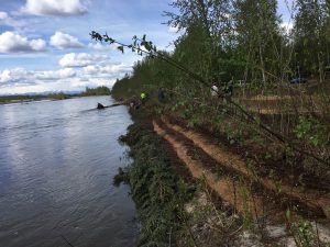 The riverbank along the McCanns' property that workshop attendees worked on last week. Photo by Katie Writer - KTNA