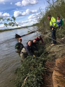 Workshop participants applying the techniques they learned on bank restoration. Photo by Katie Writer - KTNA