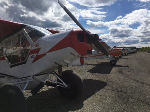 Aircraft lined up in Talkeetna for the 2017 Talkeetna Fly-In.  Photo:  Katie Writer - KTNA