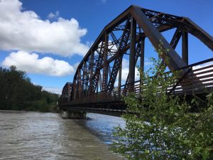 High water near the Talkeetna railroad bridge.  Photo by Katie Writer - KTNA