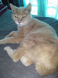 Stubbs, often referred to as the "Mayor of Talkeetna." Stubbs passed away late last week. Photo courtesy of the Spone Family.