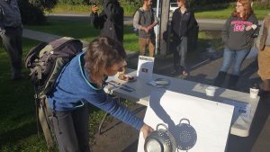 Sarah Kehoe uses a colander to indirectly view Monday's eclipse. Photo - Phillip Manning - KTNA