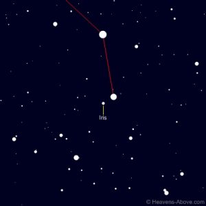 Position of 7 Iris 11-14-17