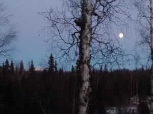 Earth's shadow below the belt of Venus, with moon. Photo credit: Kathleen and her cell phone.