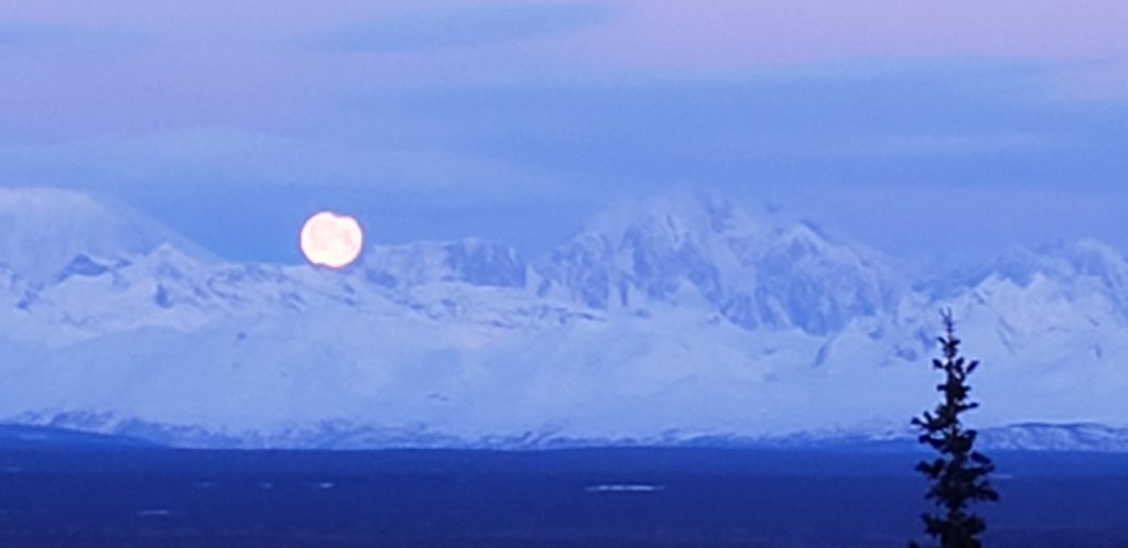 Photo of the Moon setting between Foraker and Hunter, Thursday 12-12, at 10:20 AM.  Credit: Diane Okonek