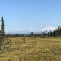 Denali from Petersville Road in Trapper Creek
