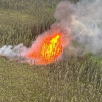 Susitna fire, four miles west of Willow, ignited by lightning on June 23, 2024. Photo: