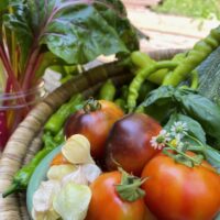 A variety of fruits and veggies