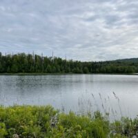 A picture from the red trail around X Lake in Talkeetna, showing a view of the lake.